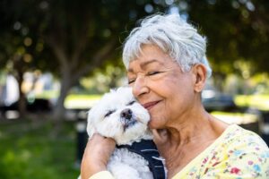 mwe partnership pet insurance mwe partnership pet insurance